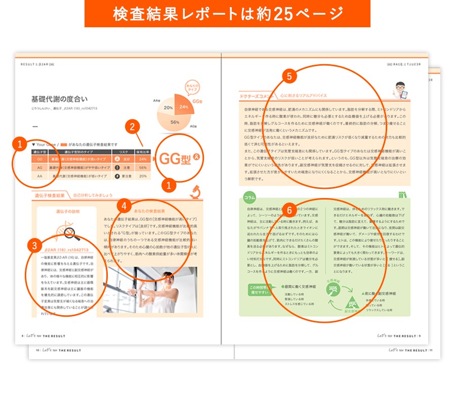 検査結果レポート